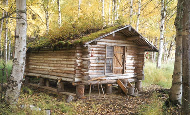 Western homesteader / trapper cabin